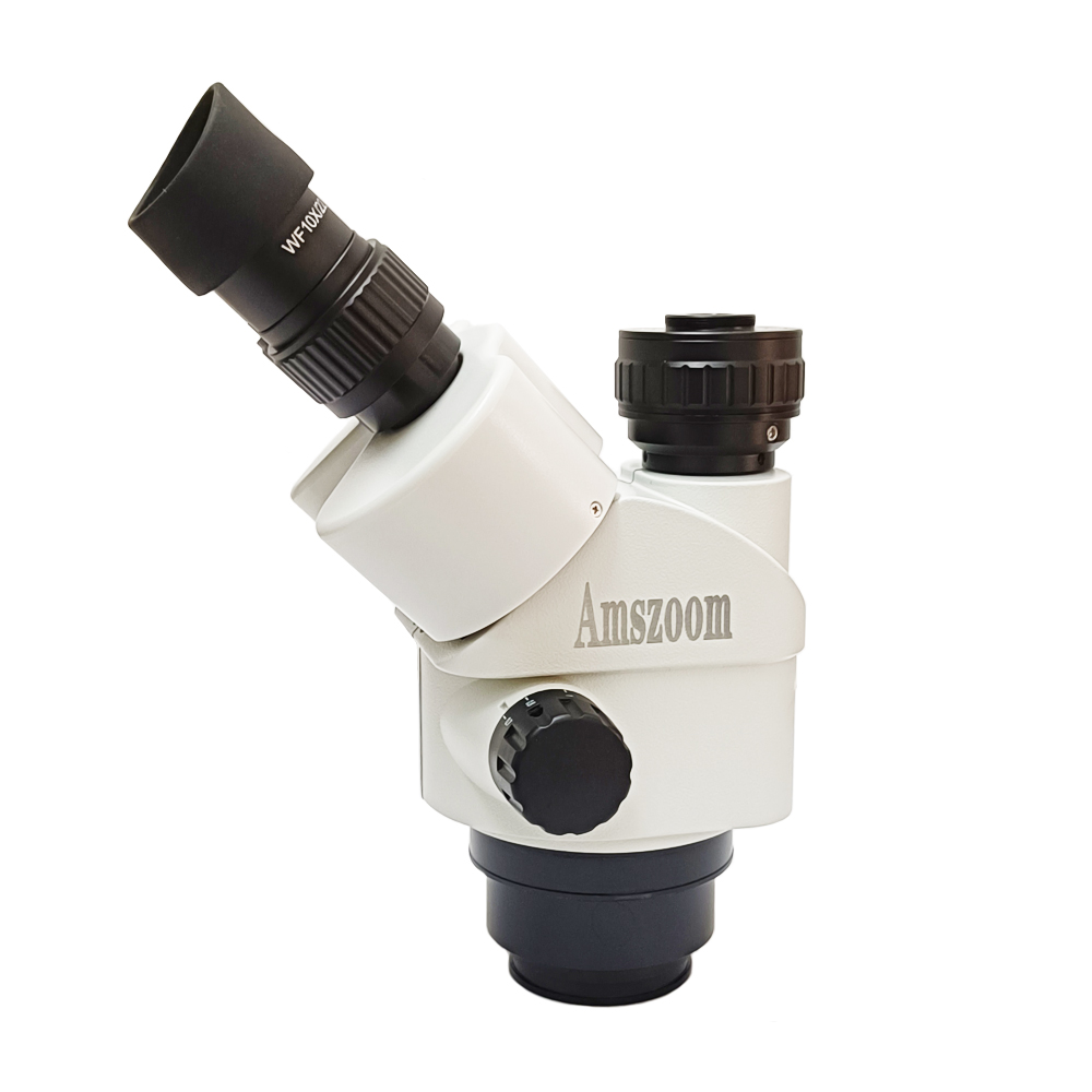 Testa per microscopio trinocul - Stereo Trinocular Microscope Pcb recensione e prezzo